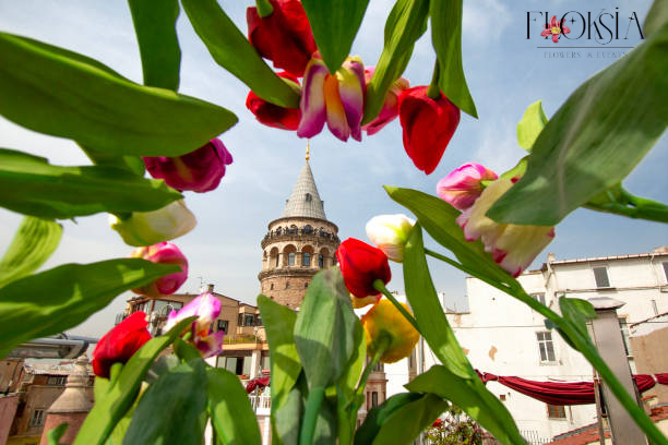 galata çiçek siparişi, galata çiçek siparişi, çiçek sipariş