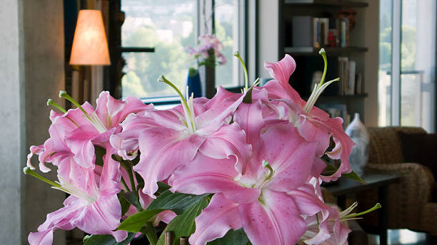 beyoğlu halıcıoğlu çiçek siparişi, halıcıoğlu çiçekçi almak