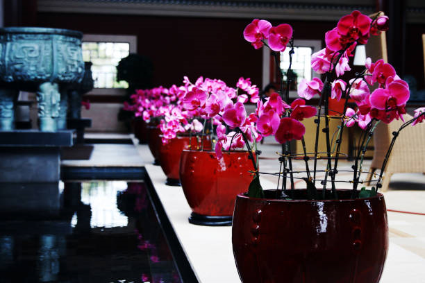 beyoğlu kamerhatun çiçek siparişi, beyoğlu çiçekçisi, çiçek