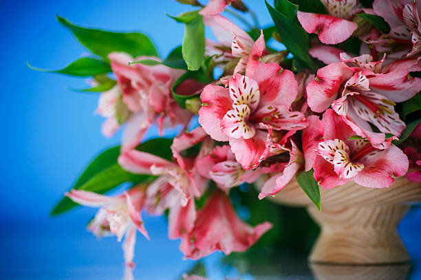 beyoğlu şehit muhtar çiçekçisi, şehit muhtar çiçek siparişi