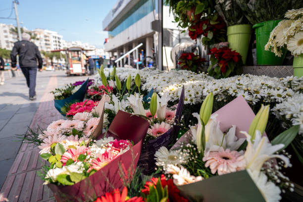 karaköy mahallesi çiçekçisi, beyoğlu karaköy çiçek almak