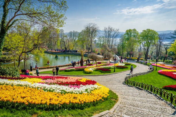 emirgan çiçek siparişi, sarıyer emirgan çiçekçisi, çiçek al