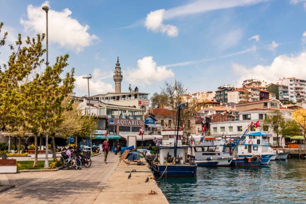 sarıyer fatih çiçekçisi, sarıyer fatih çiçek siparişi, çiçek